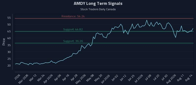 AMDY Long Term Analysis for August 15 2026 AMDY Long Term Analysis for August 15 2026