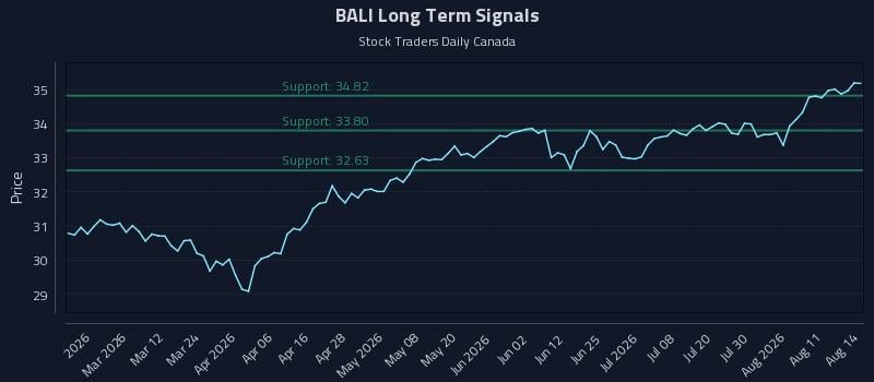 BALI Long Term Analysis for August 15 2026 BALI Long Term Analysis for August 15 2026