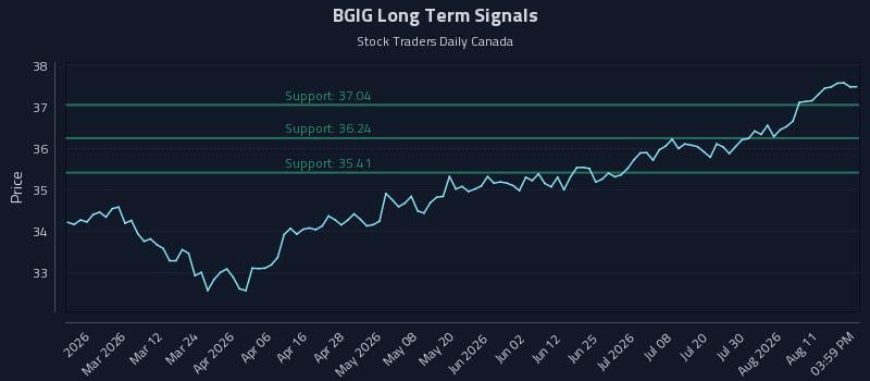 BGIG Long Term Analysis for August 15 2026 BGIG Long Term Analysis for August 15 2026