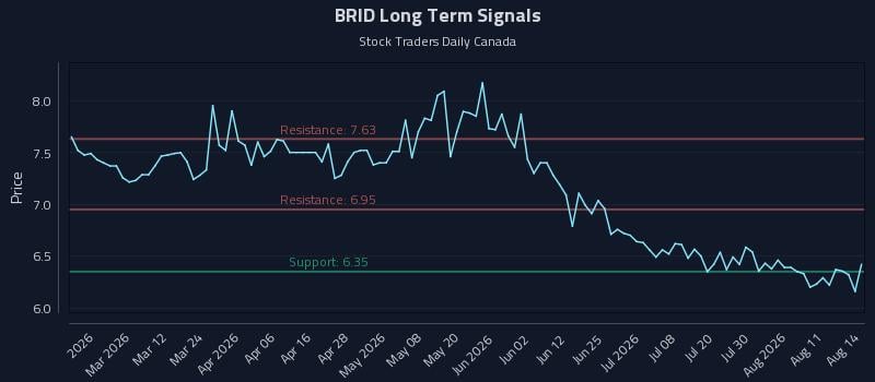 BRID Long Term Analysis for August 15 2026