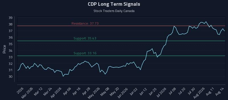 CDP Long Term Analysis for August 15 2026