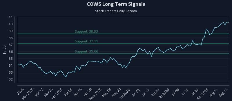 COWS Long Term Analysis for August 15 2026 COWS Long Term Analysis for August 15 2026