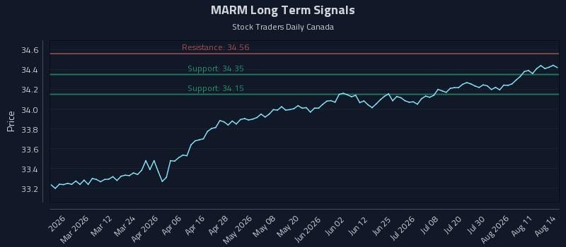 MARM Long Term Analysis for August 15 2026 MARM Long Term Analysis for August 15 2026