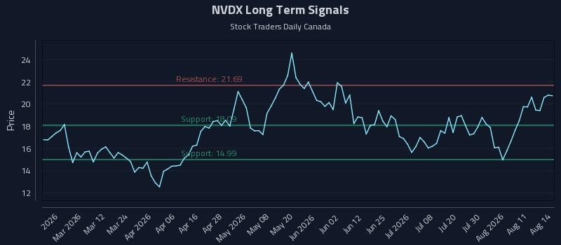 NVDX Long Term Analysis for August 15 2026 NVDX Long Term Analysis for August 15 2026