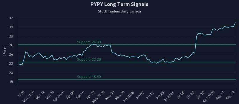 PYPY Long Term Analysis for August 15 2026