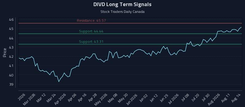 DIVD Long Term Analysis for August 16 2026 DIVD Long Term Analysis for August 16 2026