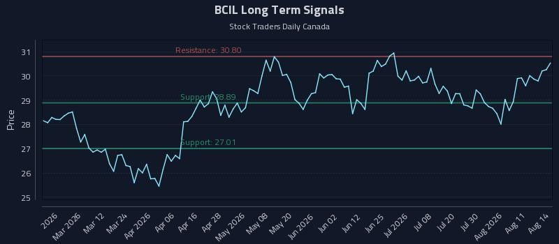 BCIL Long Term Analysis for August 16 2026 BCIL Long Term Analysis for August 16 2026