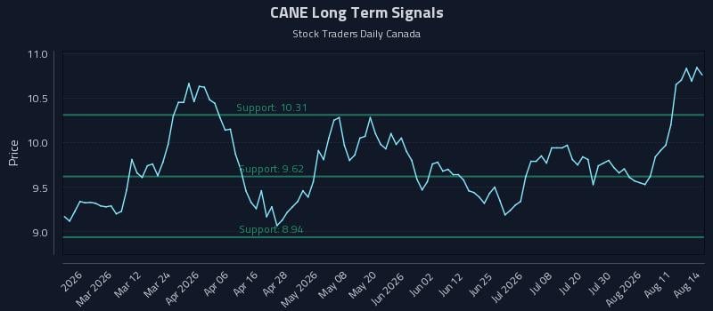 CANE Long Term Analysis for August 16 2026 CANE Long Term Analysis for August 16 2026