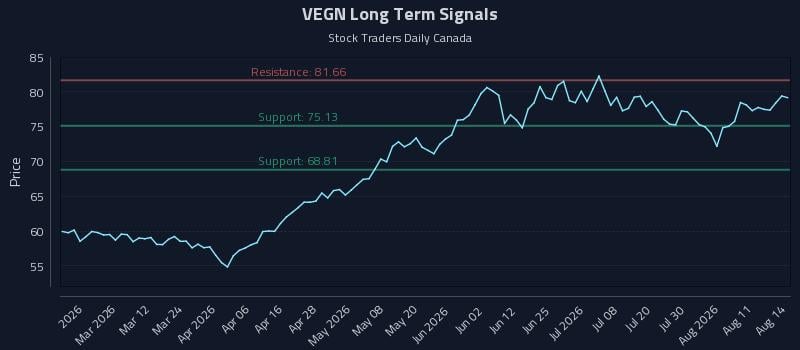 VEGN Long Term Analysis for August 16 2026 VEGN Long Term Analysis for August 16 2026