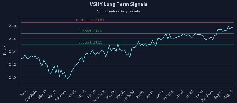 VSHY Long Term Analysis for August 16 2026
