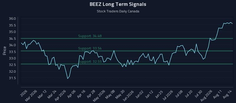 BEEZ Long Term Analysis for August 16 2026 BEEZ Long Term Analysis for August 16 2026