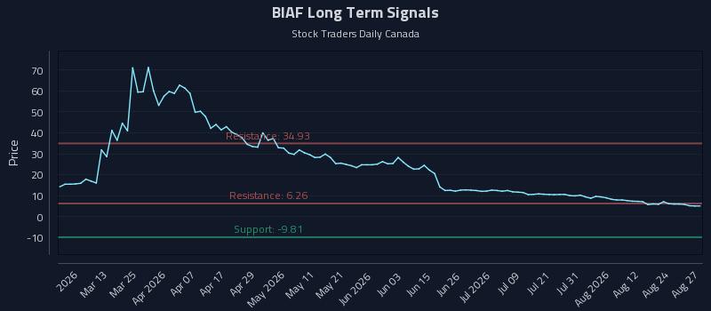 BIAF Long Term Analysis for August 27 2026 BIAF Long Term Analysis for August 27 2026