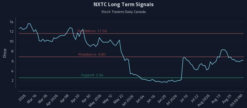 NXTC Long Term Analysis for August 28 2026 NXTC Long Term Analysis for August 28 2026