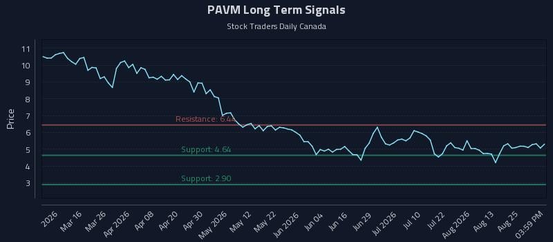 PAVM Long Term Analysis for August 28 2026 PAVM Long Term Analysis for August 28 2026