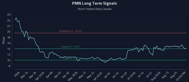 PMN Long Term Analysis for August 28 2026 PMN Long Term Analysis for August 28 2026