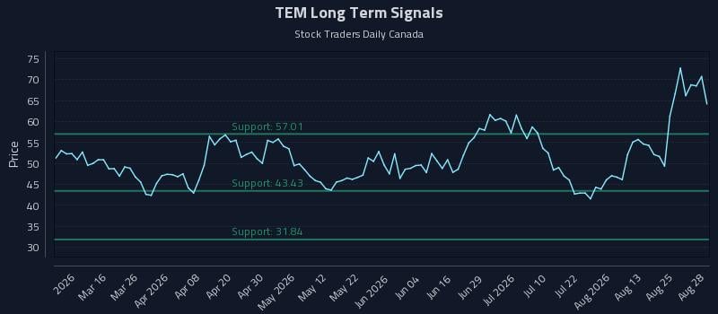 TEM Long Term Analysis for August 28 2026 TEM Long Term Analysis for August 28 2026