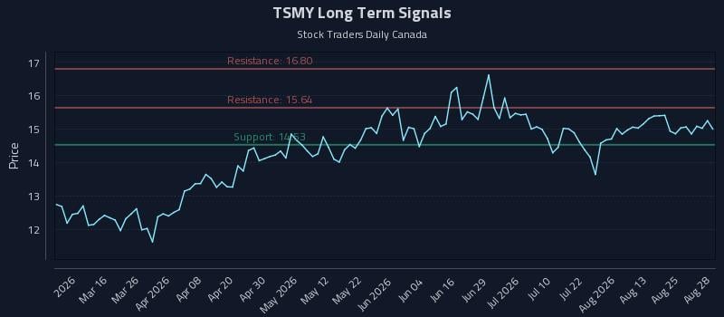 TSMY Long Term Analysis for August 28 2026 TSMY Long Term Analysis for August 28 2026
