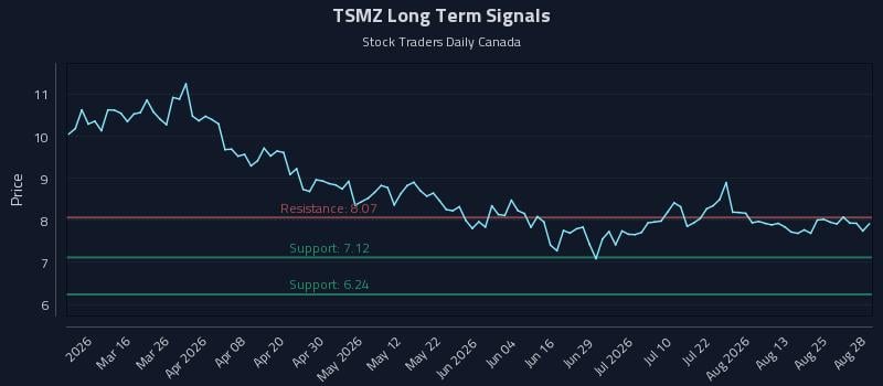 TSMZ Long Term Analysis for August 28 2026