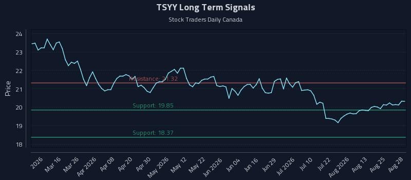 TSYY Long Term Analysis for August 28 2026