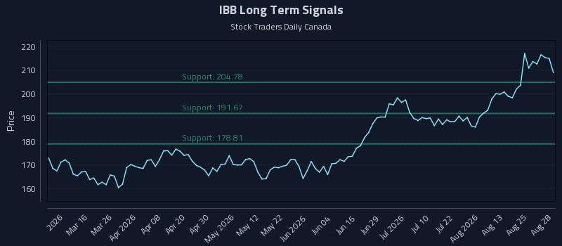 IBB Long Term Analysis for August 29 2026
