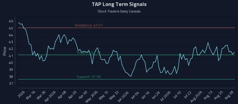TAP Long Term Analysis for August 29 2026