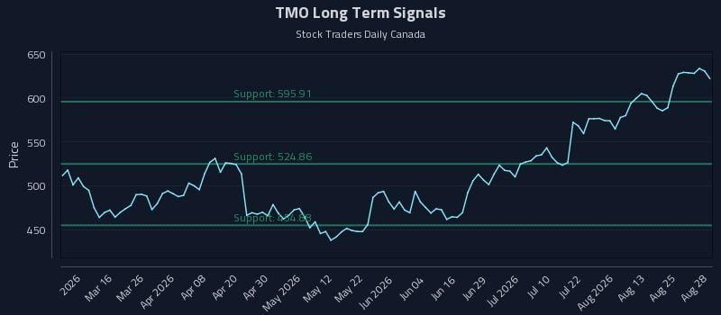 TMO Long Term Analysis for August 29 2026