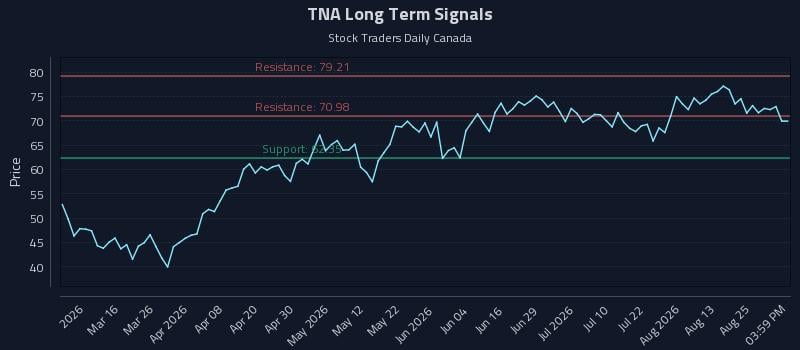 TNA Long Term Analysis for August 29 2026 TNA Long Term Analysis for August 29 2026