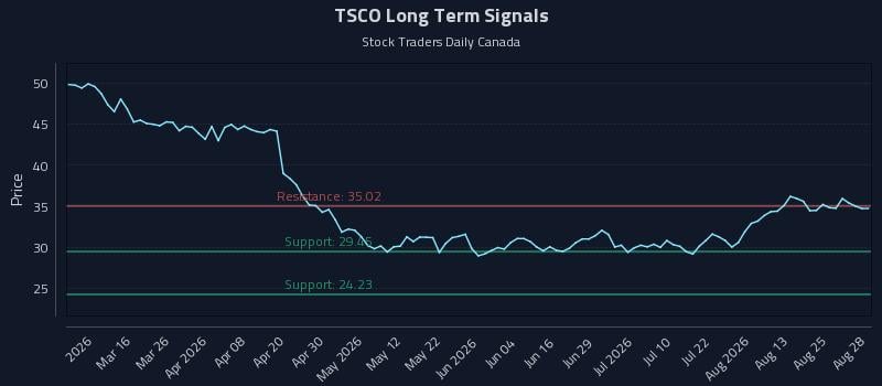 TSCO Long Term Analysis for August 29 2026