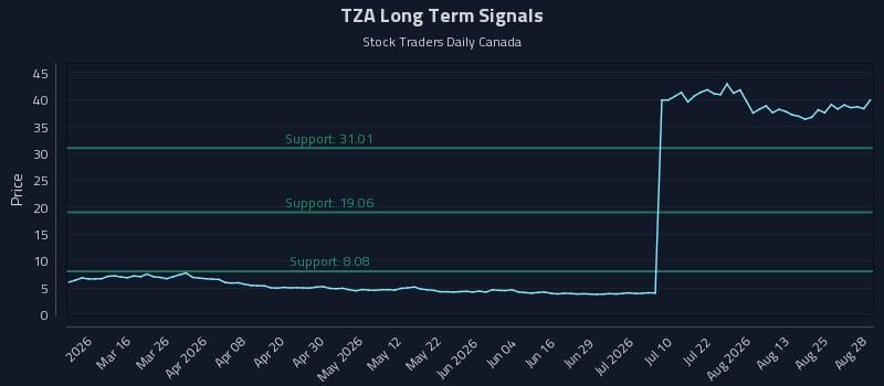TZA Long Term Analysis for August 29 2026 TZA Long Term Analysis for August 29 2026