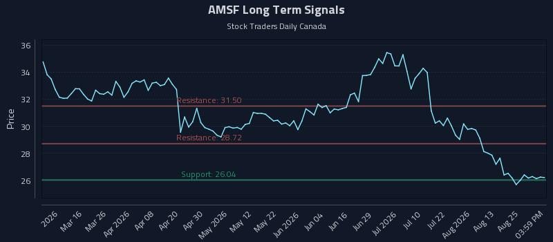 AMSF Long Term Analysis for August 30 2026 AMSF Long Term Analysis for August 30 2026