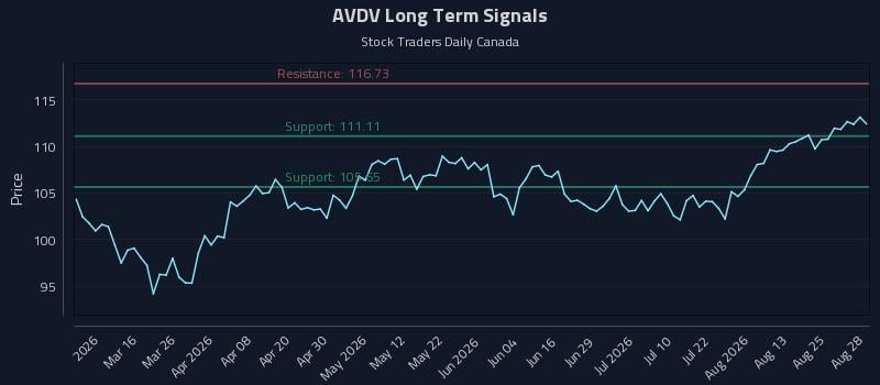 AVDV Long Term Analysis for August 30 2026