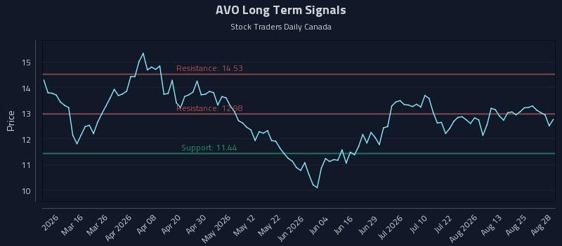 AVO Long Term Analysis for August 30 2026