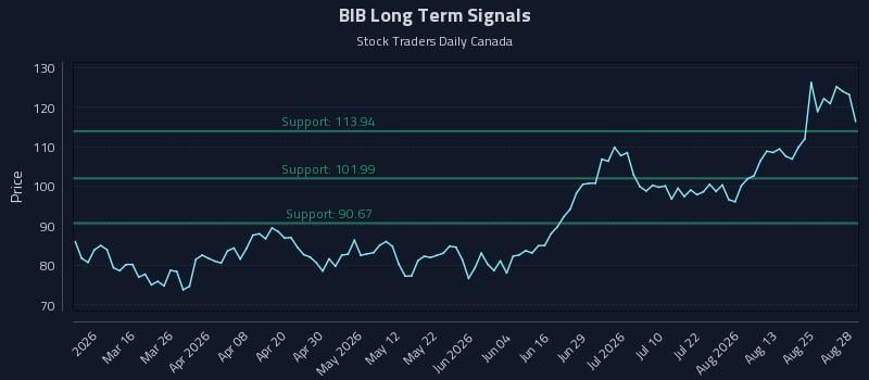 BIB Long Term Analysis for August 30 2026 BIB Long Term Analysis for August 30 2026