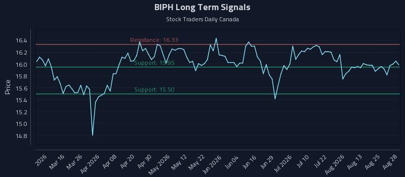 BIPH Long Term Analysis for August 30 2026 BIPH Long Term Analysis for August 30 2026