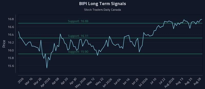 BIPI Long Term Analysis for August 30 2026 BIPI Long Term Analysis for August 30 2026