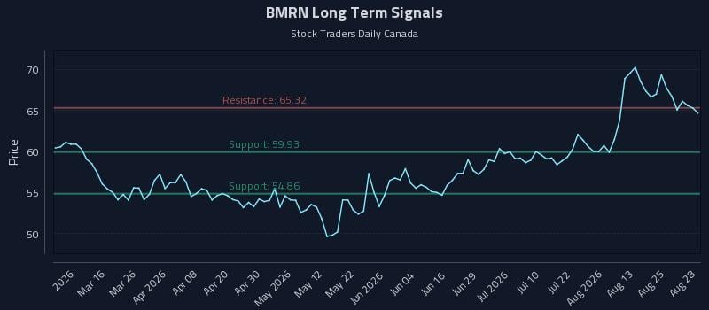 BMRN Long Term Analysis for August 30 2026 BMRN Long Term Analysis for August 30 2026