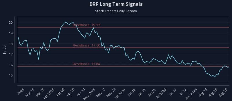 BRF Long Term Analysis for August 30 2026 BRF Long Term Analysis for August 30 2026