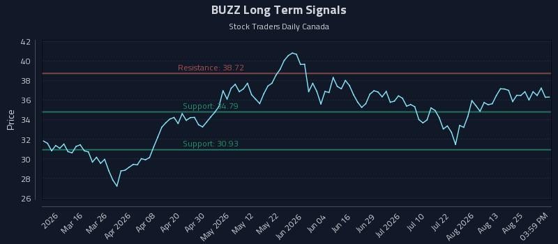 BUZZ Long Term Analysis for August 30 2026 BUZZ Long Term Analysis for August 30 2026