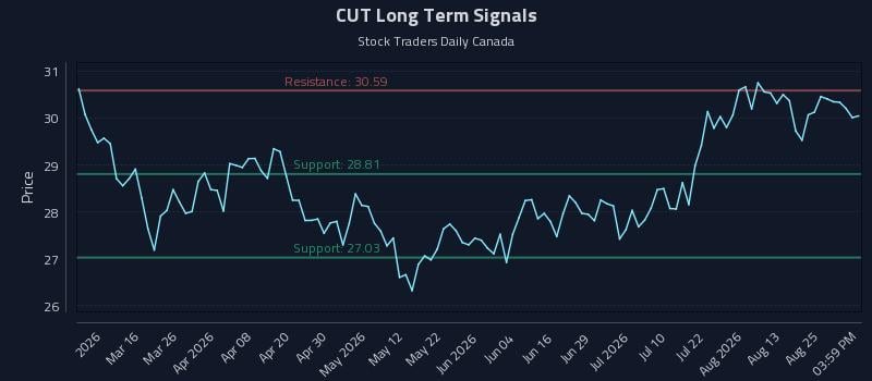 CUT Long Term Analysis for August 30 2026
