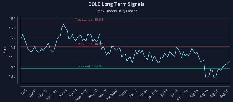DOLE Long Term Analysis for August 31 2026