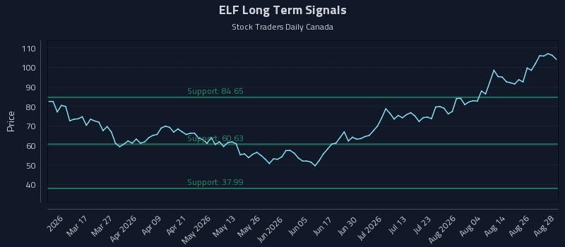 ELF Long Term Analysis for August 31 2026 ELF Long Term Analysis for August 31 2026