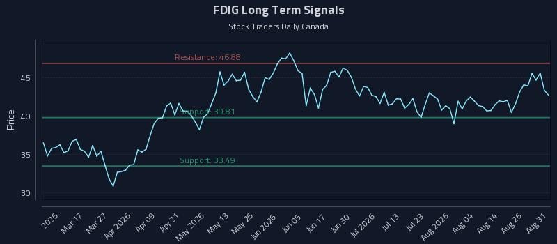FDIG Long Term Analysis for August 31 2026 FDIG Long Term Analysis for August 31 2026