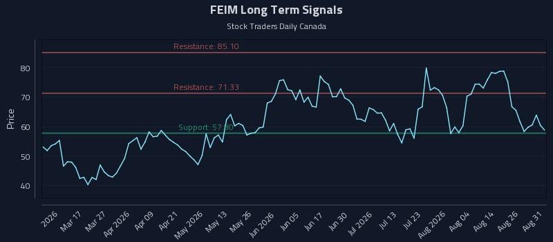 FEIM Long Term Analysis for August 31 2026 FEIM Long Term Analysis for August 31 2026
