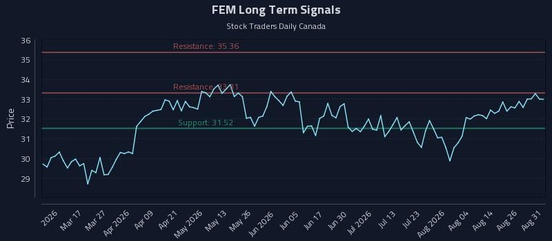 FEM Long Term Analysis for August 31 2026 FEM Long Term Analysis for August 31 2026