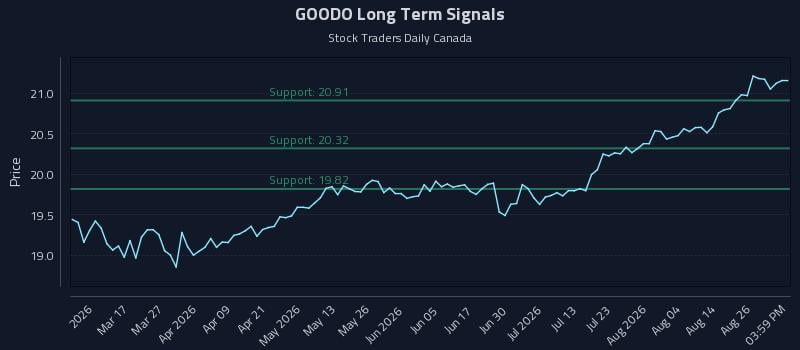 GOODO Long Term Analysis for August 31 2026 GOODO Long Term Analysis for August 31 2026