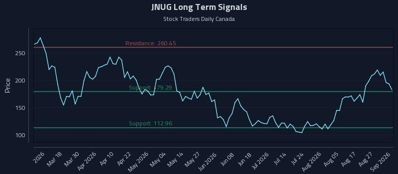 JNUG Long Term Analysis for September 1 2026