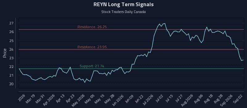 REYN Long Term Analysis for September 2 2026 REYN Long Term Analysis for September 2 2026