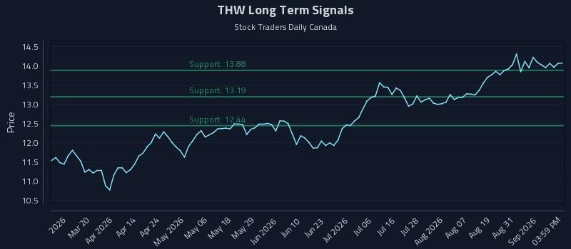 THW Long Term Analysis for September 3 2026