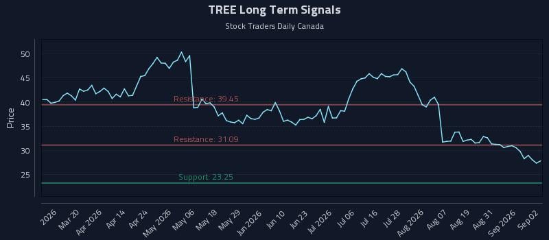 TREE Long Term Analysis for September 3 2026 TREE Long Term Analysis for September 3 2026