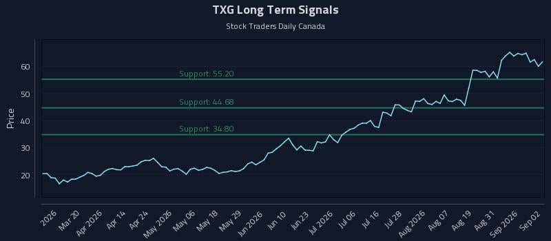 TXG Long Term Analysis for September 3 2026 TXG Long Term Analysis for September 3 2026